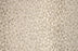Pearlina Wool Blend Frost 34013 Carpet Pattern 1
