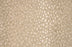 Pearlina Wool Blend Tan 34014 Carpet Pattern 1