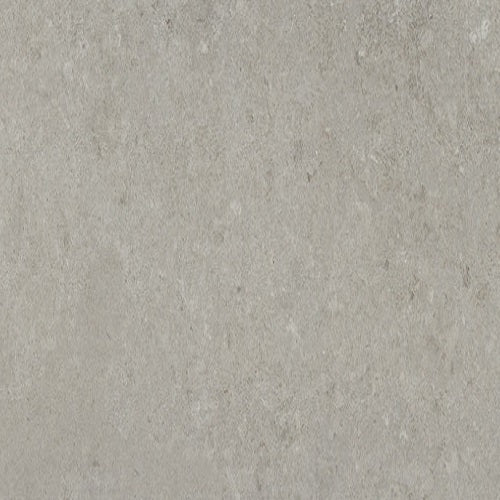 Perenne Gray C08PEREGR1224M