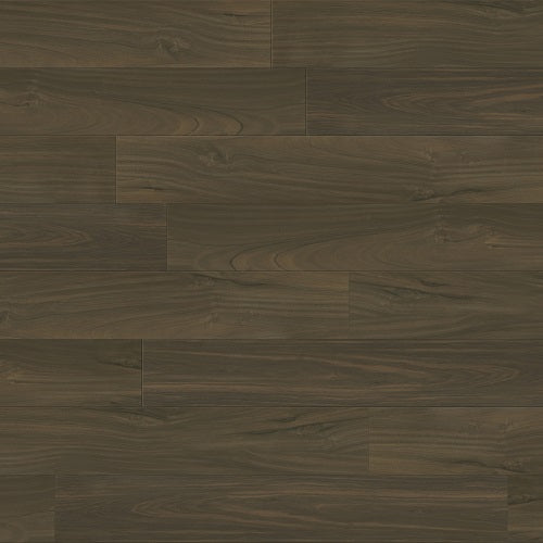 Performer Plus Dove PPPSPC2033