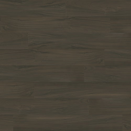 Performer Plus Nightingale PPPSPC2031