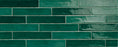 Full Tile Sample - Piastrella Olive Ceramic Tile - 2" x 10" Glossy