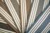 Pinecrest Chalet Polypropylene Pomegranate 42042 Carpet PINEC Textured 4