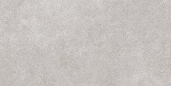 Full Tile Sample - Plaster 2.0 Silver Grey Porcelain Tile - 12" x 24" x 8 MM Matte