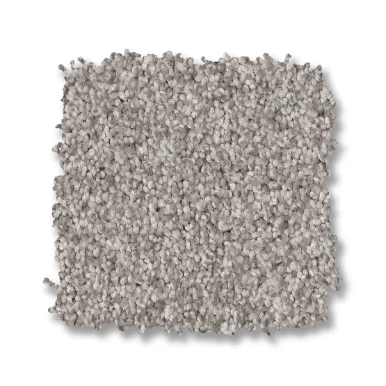 Bossa Nova Platinum Nylon Carpet - Textured