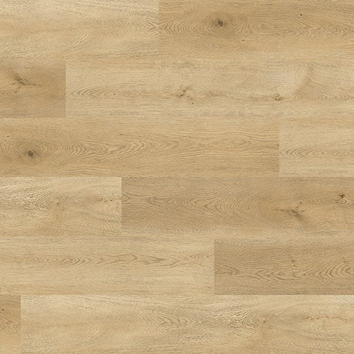 Platinum Series Spruce