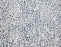 Pop Rock Polypropylene & Polysilk Arctic Blue 16871 Carpet Pattern 1