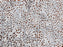 Pop Rock Polypropylene & Polysilk Spice 16875 Carpet Pattern 1