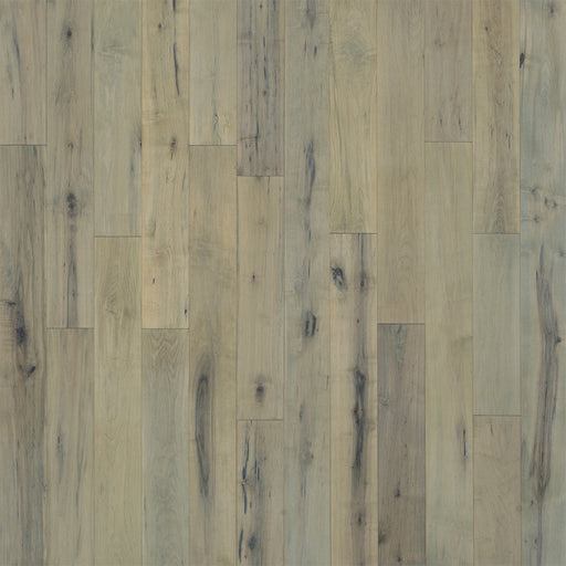 Maple Hardwood Alcott Engineered Hardwood TrueMark Glaze Tek 1
