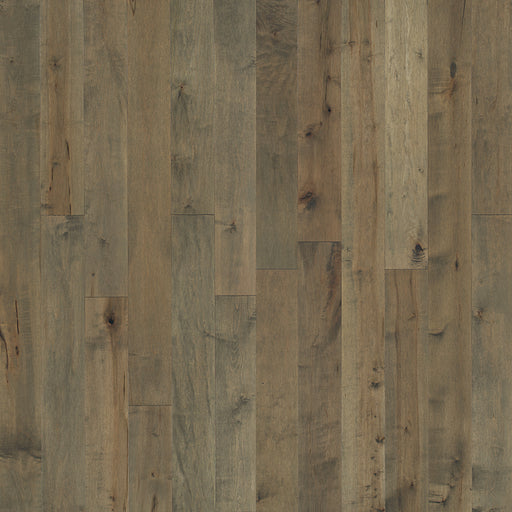 Maple Hardwood Frost Engineered Hardwood TrueMark Glaze Tek 1