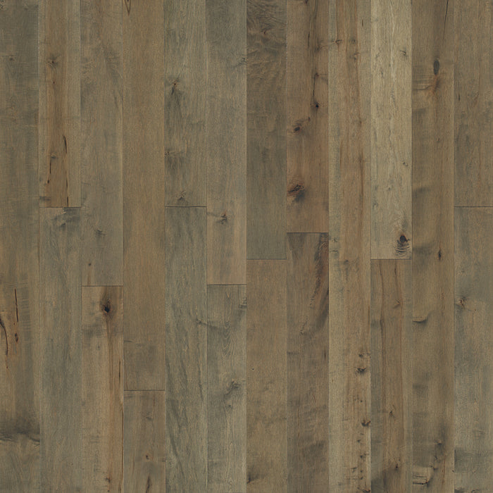 Maple Hardwood Frost Engineered Hardwood TrueMark Glaze Tek 1