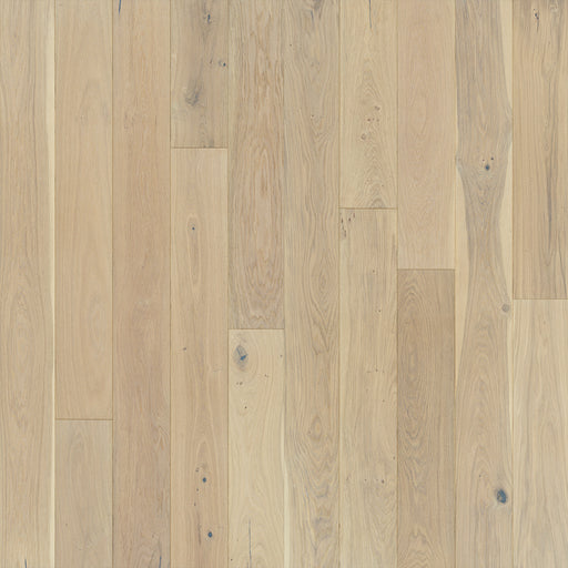 Ventura Oak Seashell Engineered Hardwood Flooring - Nu Oil