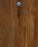 Moda Living Elite Vinyl Showpiece Vinyl Plank Aluminum Oxide with Ceramic Bead Technology 1