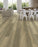 Uptown Chic Vinyl Wild Thing Vinyl Plank Aluminum Oxide with Ceramic Bead Technology 2