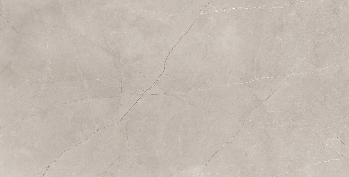 Pulpis Porcelain Silver Tile Polish 1