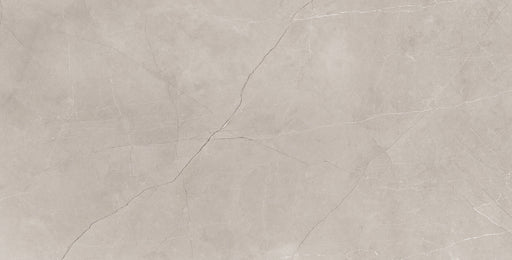 Pulpis Porcelain Silver Tile Polish 1