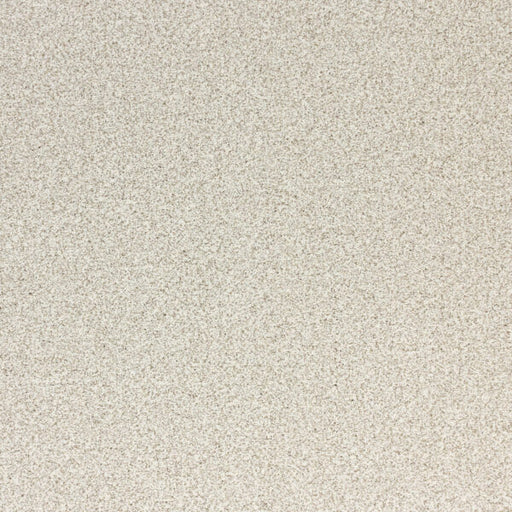 Pure Luxury Polypropylene Opulence Carpet Textured 1
