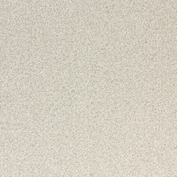 Pure Luxury Polypropylene Opulence Carpet Textured 1