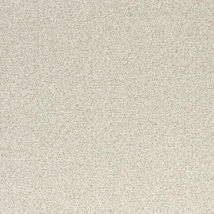 Pure Luxury Polypropylene Opulence Carpet Textured 2