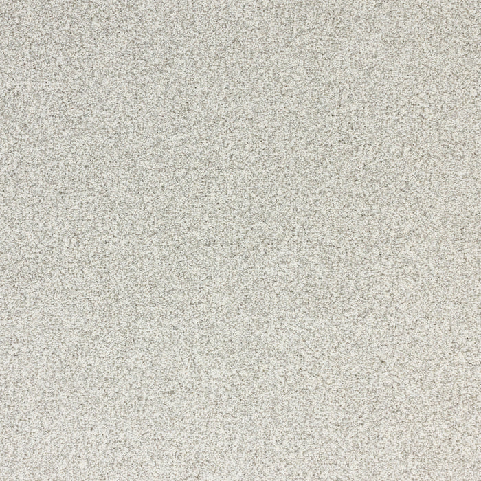 Pure Luxury Polypropylene Bliss Carpet Textured 2