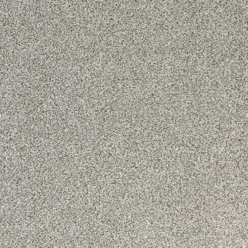 Pure Luxury Polypropylene High Life Carpet Textured 1