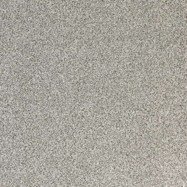 Pure Luxury Polypropylene High Life Carpet Textured 1