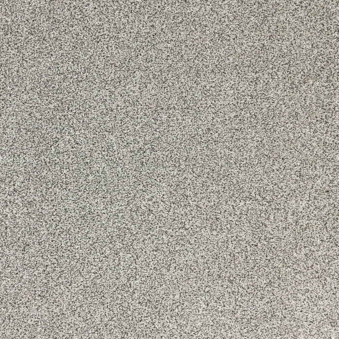 Pure Luxury Polypropylene High Life Carpet Textured 2
