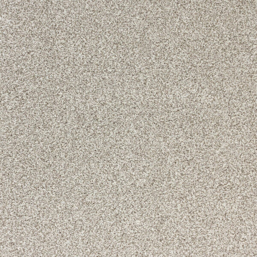 Pure Luxury Polypropylene Glam Carpet Textured 1
