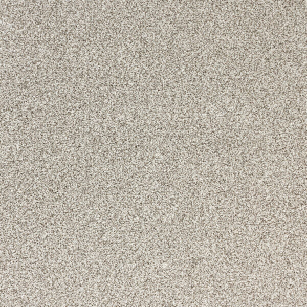 Pure Luxury Polypropylene Glam Carpet Textured 1