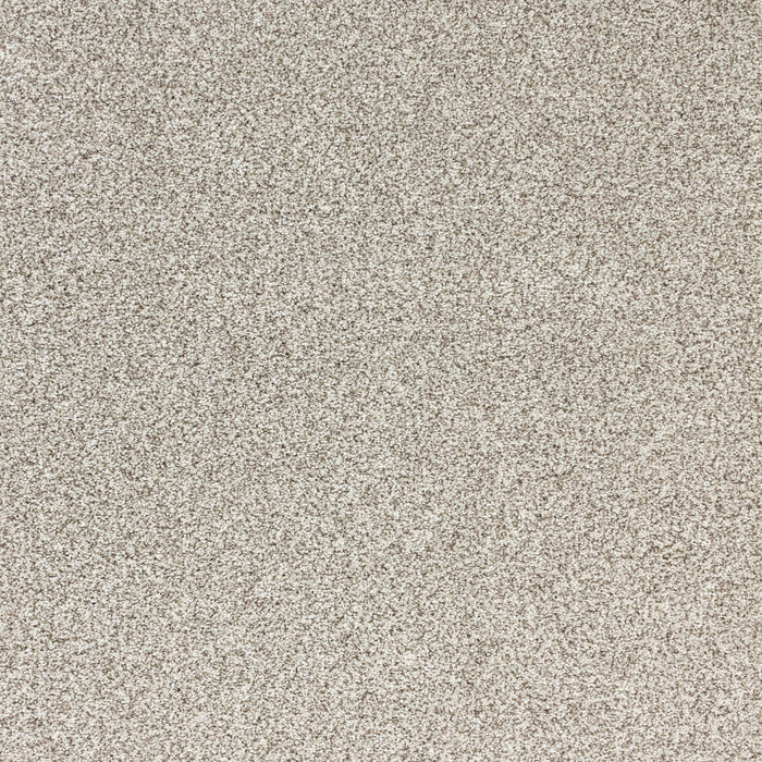 Pure Luxury Polypropylene Glam Carpet Textured 2