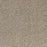 Pure Luxury Polypropylene Splendor Carpet Textured 1