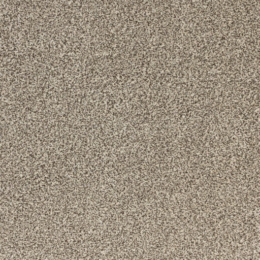 Pure Luxury Polypropylene Splendor Carpet Textured 1