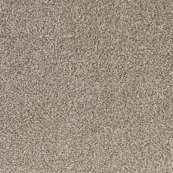 Pure Luxury Polypropylene Splendor Carpet Textured 1
