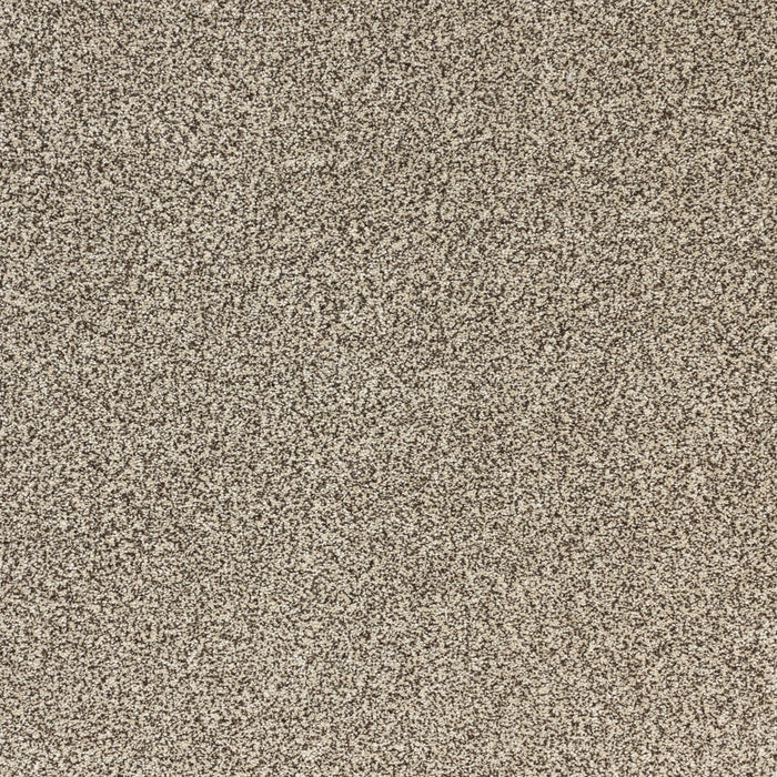 Pure Luxury Polypropylene Splendor Carpet Textured 2