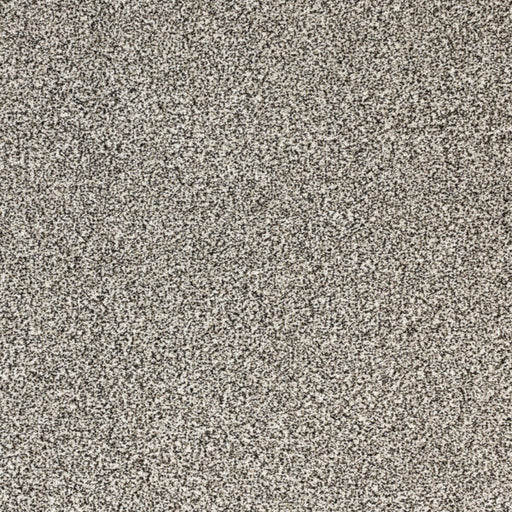 Pure Luxury Polypropylene Ambrosia Carpet Textured 1
