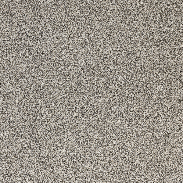 Pure Luxury Polypropylene Ambrosia Carpet Textured 1