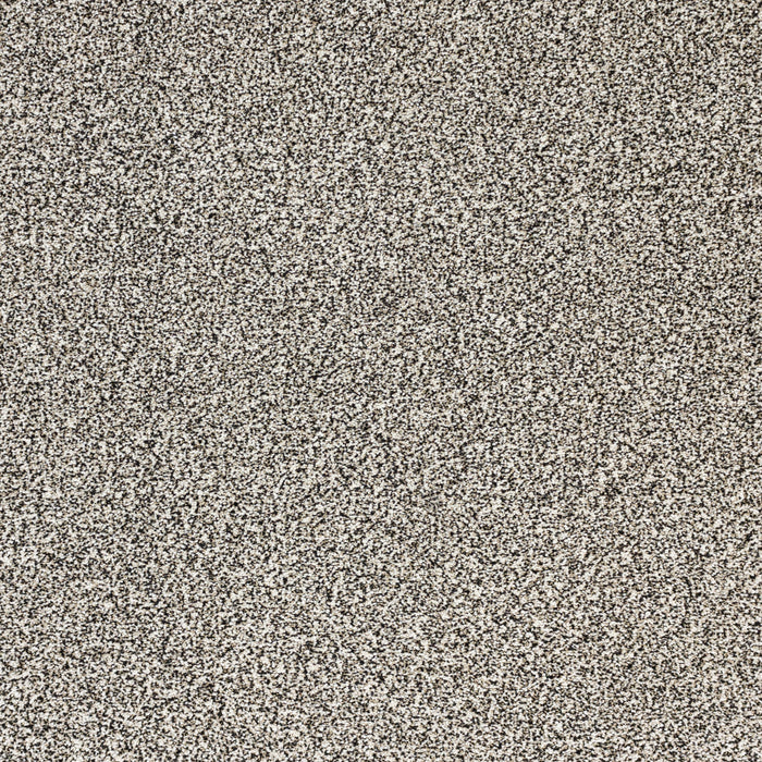 Pure Luxury Polypropylene Ambrosia Carpet Textured 2
