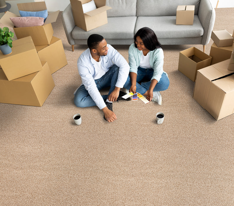 Quest Plush I Polyester Ecru 39051 Carpet Textured 2