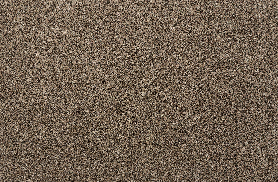 Quest Plush I Polyester Coco 39058 Carpet Textured 1