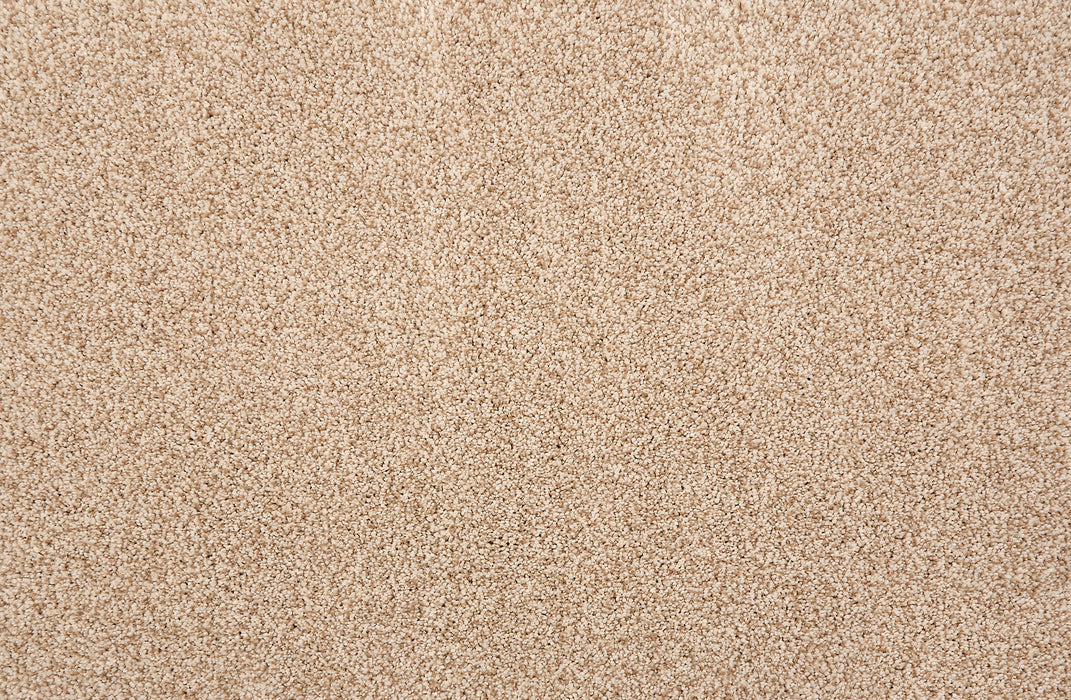 Quest Plush I Polyester Ecru 39051 Carpet Textured 1