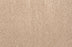 Quest Plush I Polyester Ecru 39051 Carpet Textured 1