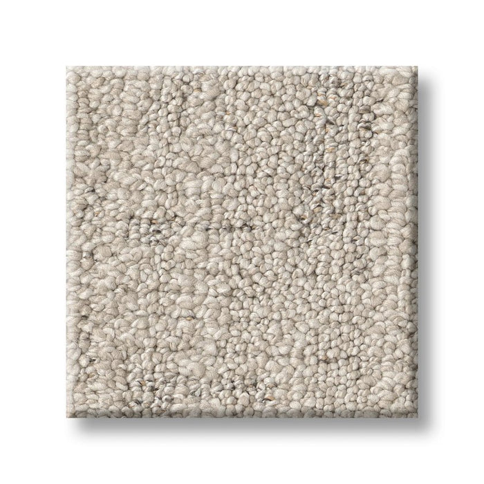 Quiet Refuge Light Breeze Polyester Carpet - Textured