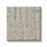 Quiet Refuge Soft Rain Polyester Carpet - Textured