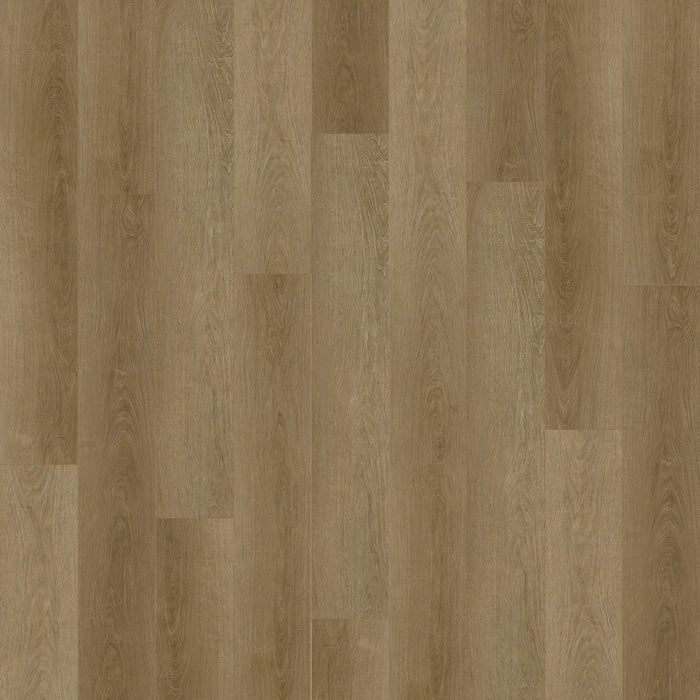 New Standard Plus Vinyl Coral Coast 4021 Vinyl Tile Textured 1