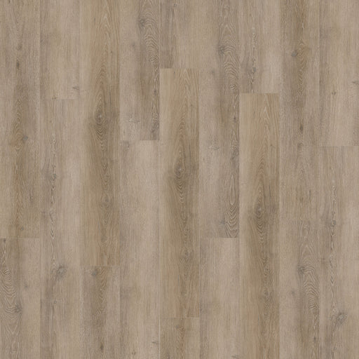New Standard Plus Vinyl Druidstone 4022 Vinyl Tile Textured 1