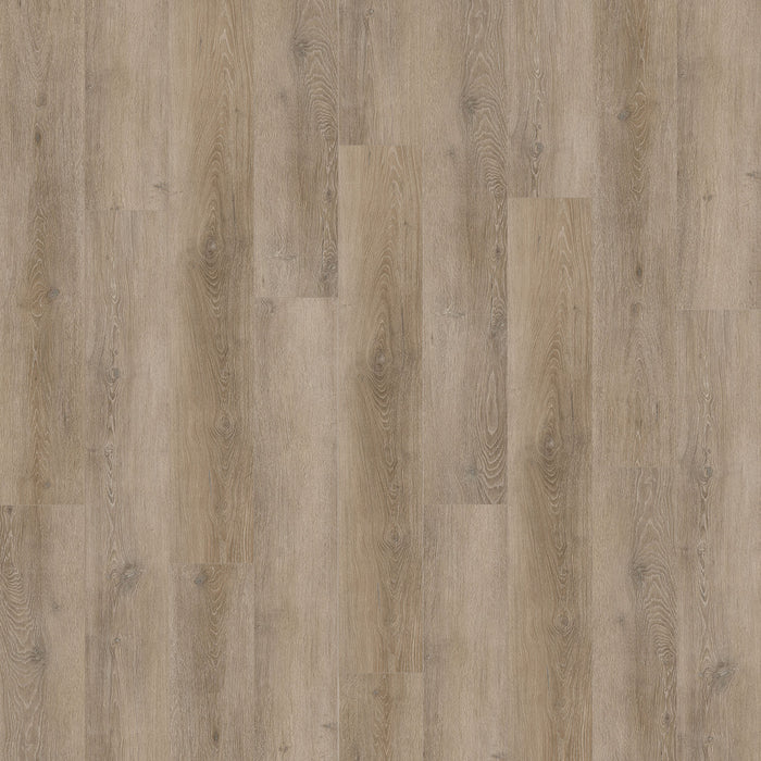 New Standard Plus Vinyl Druidstone 4022 Vinyl Tile Textured 1