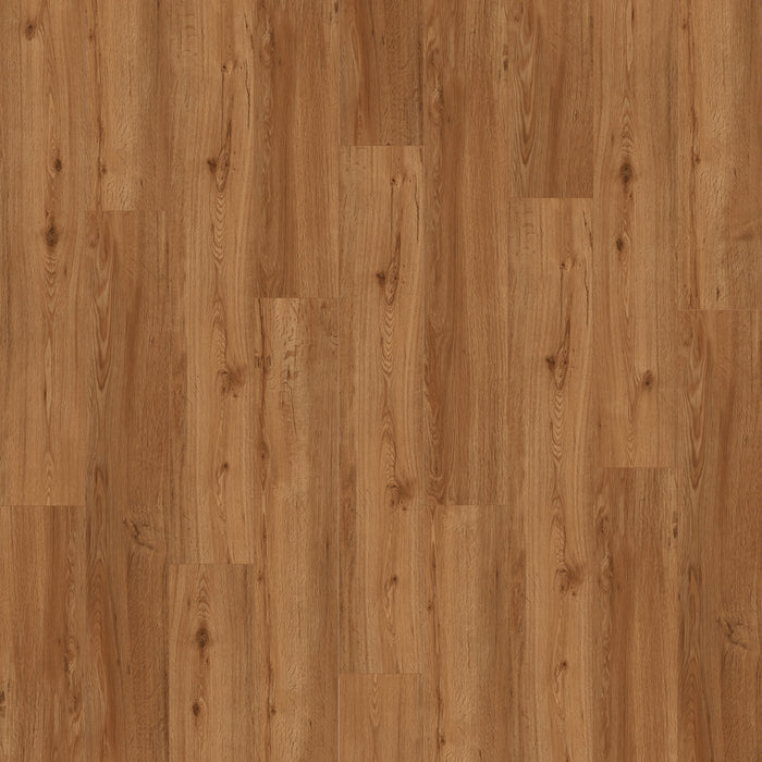 New Standard Plus Vinyl Whitehaven 4029 Vinyl Tile Textured 1
