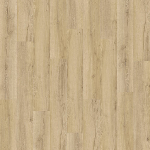 New Standard Plus Vinyl Rio 4031 Vinyl Tile Textured 1