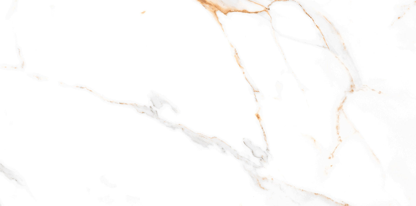 Regal Carrara Porcelain White Tile Polish 1