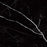 Nero Marquina Porcelain Black Tile Polished 1